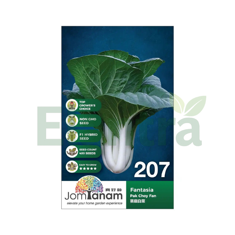 207 PAK CHOY FAN